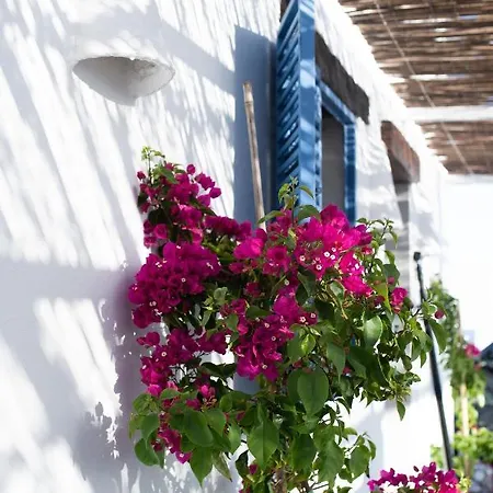 Casa Dos Vientos Сasa de vacaciones Conil De La Frontera